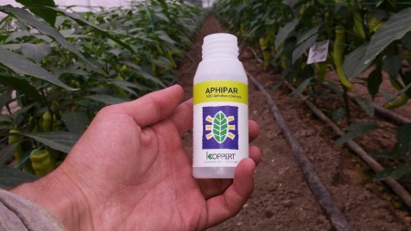 Ωφέλιμα έντομα για βιολογική φυτοπροστασία